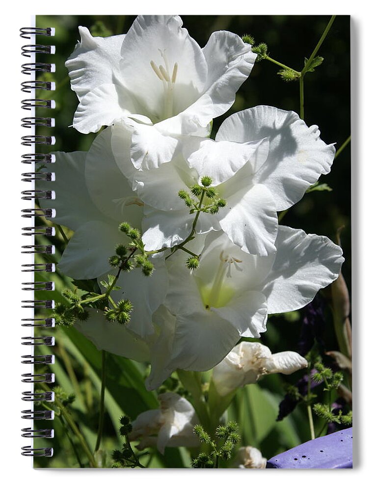  Spiral Notebook featuring the photograph Gladiolus by Heather E Harman