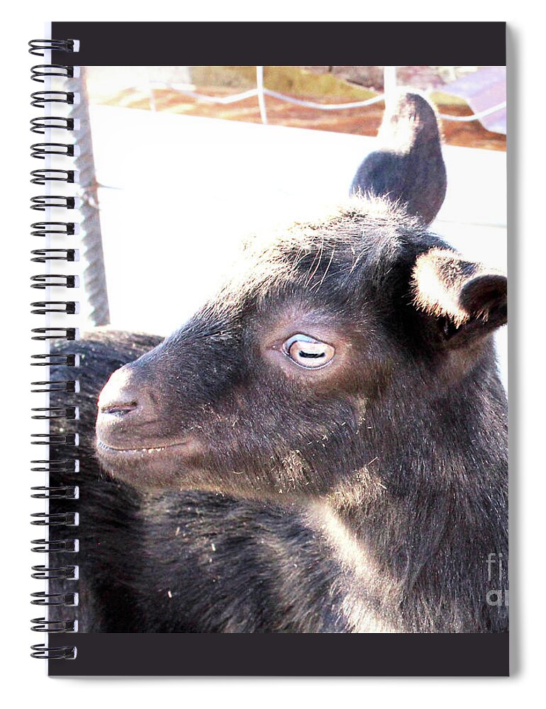Baby Goats Spiral Notebook featuring the photograph Gladys by Doug Miller