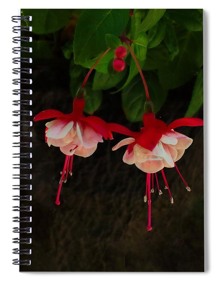 Glorious Spiral Notebook featuring the photograph Glorious Summer Morning by I'ina Van Lawick