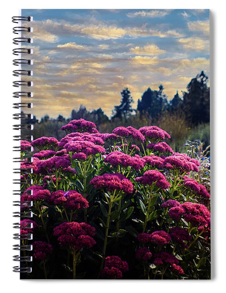 Summer Spiral Notebook featuring the photograph Glow of Summer by Laura Putman