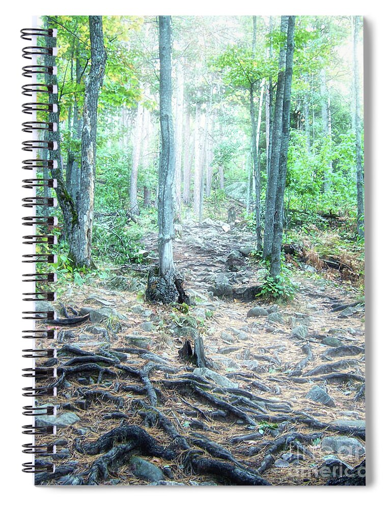 Sugarloaf Mountain Spiral Notebook featuring the photograph Glowing Forest Trail by Phil Perkins