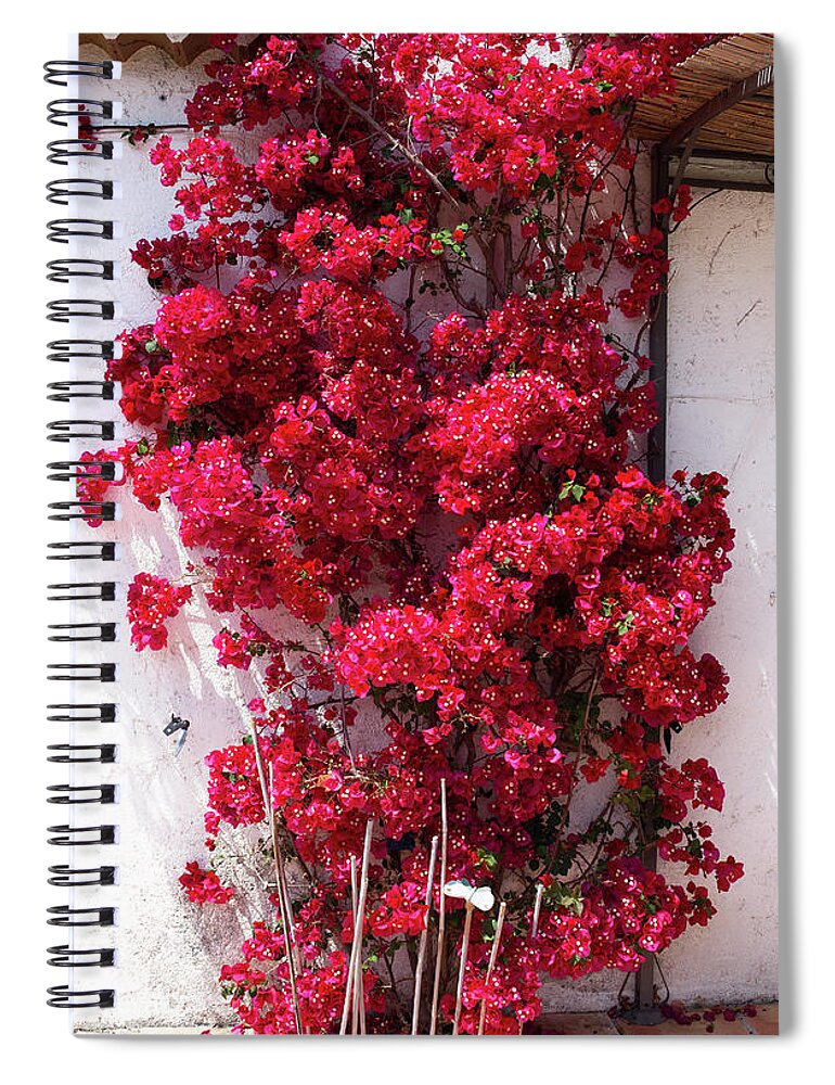 Background Spiral Notebook featuring the photograph Glowing red bougainvillea in front of a white wall by Jean-Luc Farges