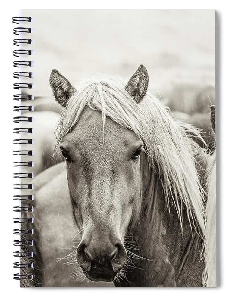 Photographs Spiral Notebook featuring the photograph Go your own way III - Horse Art by Lisa Saint