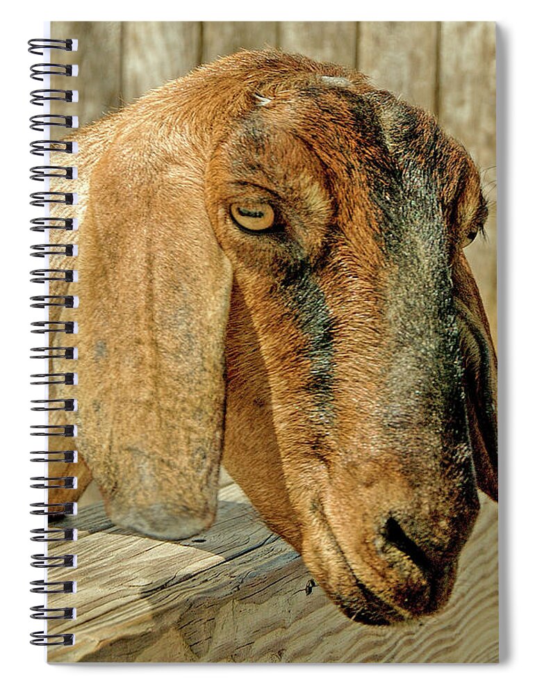 Goat Spiral Notebook featuring the photograph Goat by Cathy Kovarik