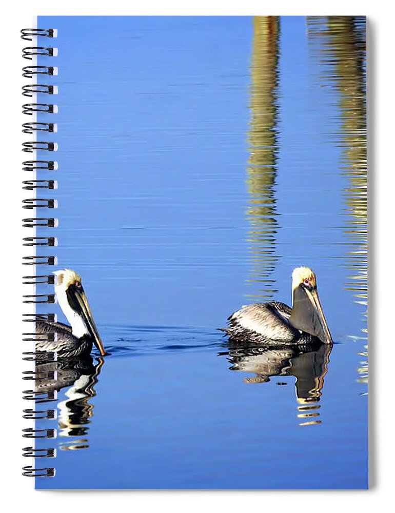 Color Spiral Notebook featuring the photograph Going for a Swim by Alan Hausenflock