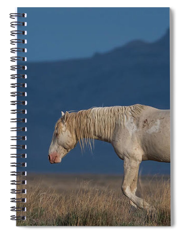 Panorama Spiral Notebook featuring the photograph Going by Mary Hone