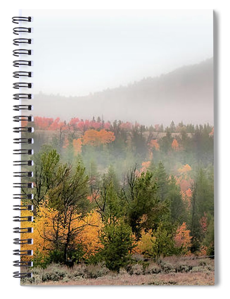 Fall Spiral Notebook featuring the photograph Gold at Miner's Delight by Laura Terriere