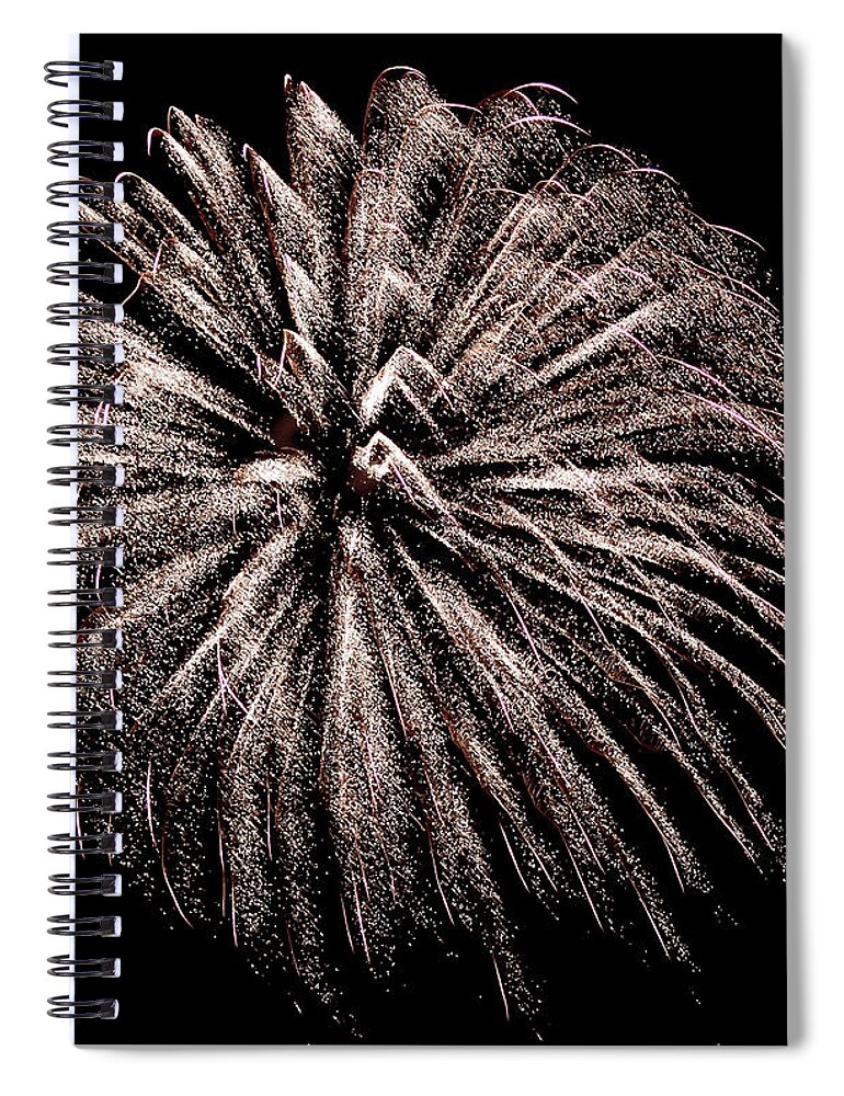Flower Spiral Notebook featuring the photograph Gold Metallic Burst by Christina McGoran
