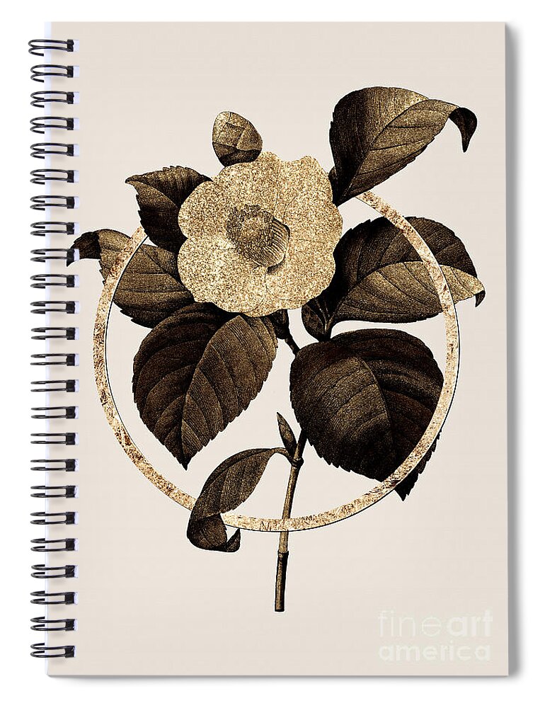 Vintage Spiral Notebook featuring the painting Gold Ring Japanese Camelia Botanical Illustration Black and Gold n.0391 by Holy Rock Design