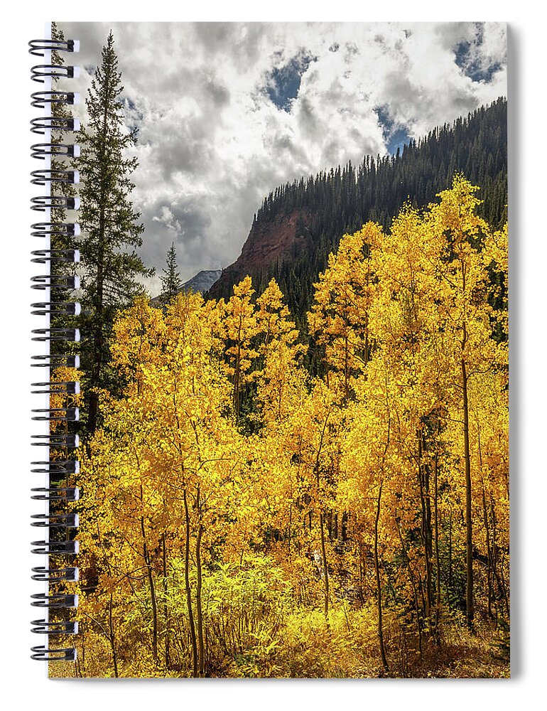 Fall Spiral Notebook featuring the photograph Golden Aspen on the trail to Ice Lake by Bradley Morris