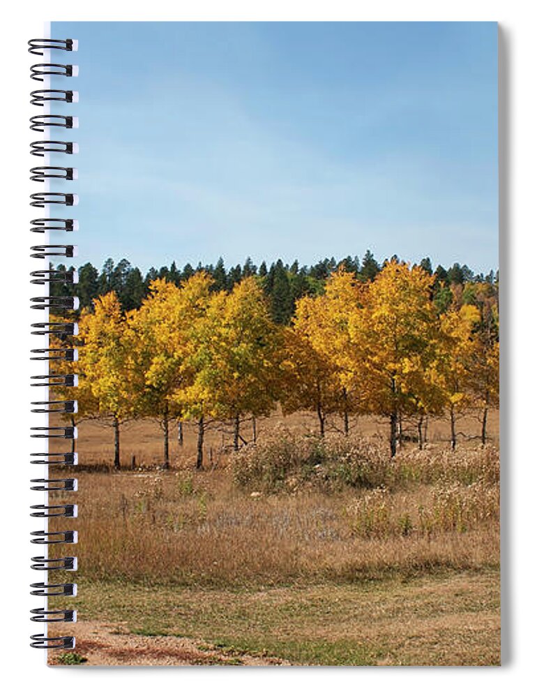 Black Halls Fall Spiral Notebook featuring the photograph Golden Aspens Fall Colors by Cathy Anderson