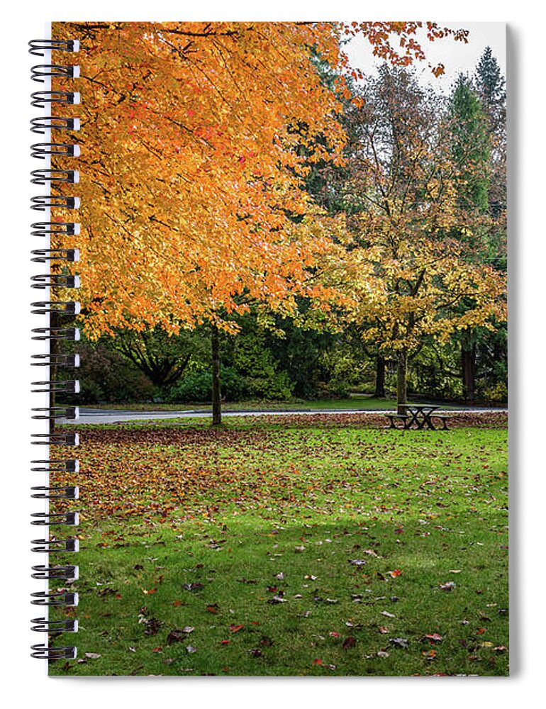 Alex Lyubar Spiral Notebook featuring the photograph Golden autumn in the park by Alex Lyubar
