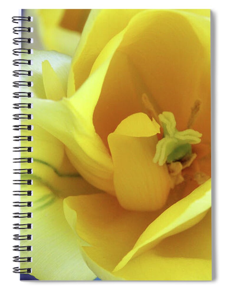 Golden Spiral Notebook featuring the photograph Golden by Carolyn Stagger Cokley