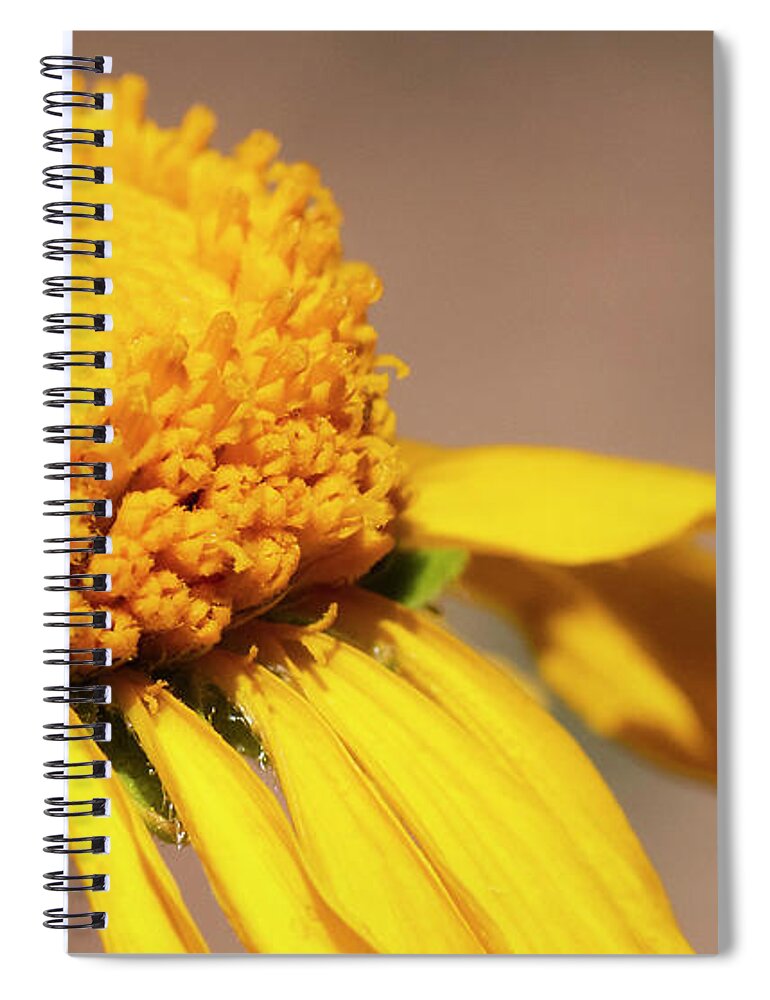 Colorado Spiral Notebook featuring the photograph Golden Crown by Julia McHugh