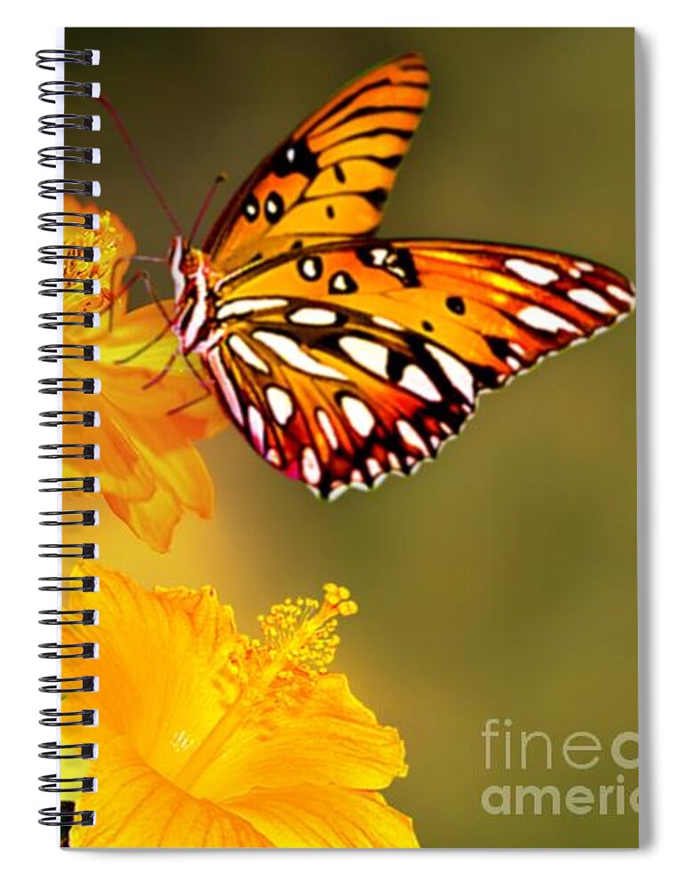Butterfly Spiral Notebook featuring the mixed media Golden Delight by Morag Bates