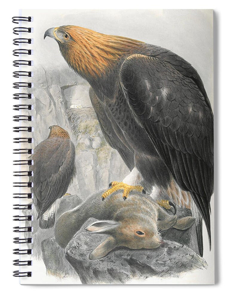 Golden Eagle Spiral Notebook featuring the mixed media Golden Eagle. John Gould by World Art Collective