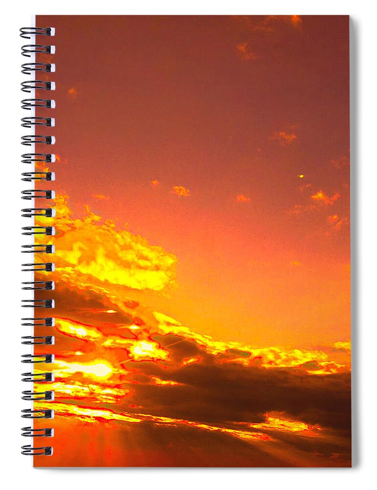  Spiral Notebook featuring the photograph Golden glory by Trevor A Smith