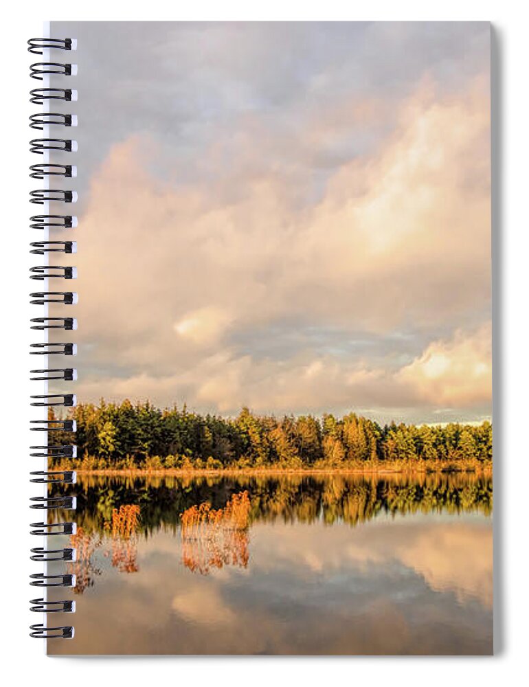 Reflection Spiral Notebook featuring the photograph Golden Hour Pine Glow by Beth Sawickie