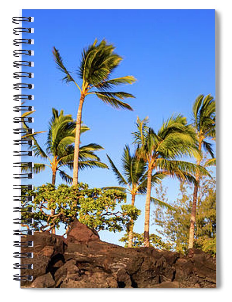 Palms Spiral Notebook featuring the photograph Golden Palms by Denise Bird