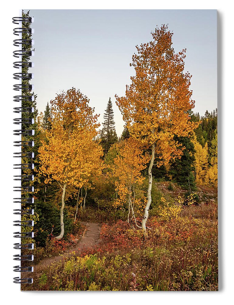 Colorado Spiral Notebook featuring the photograph Golden Path by Jack Clutter