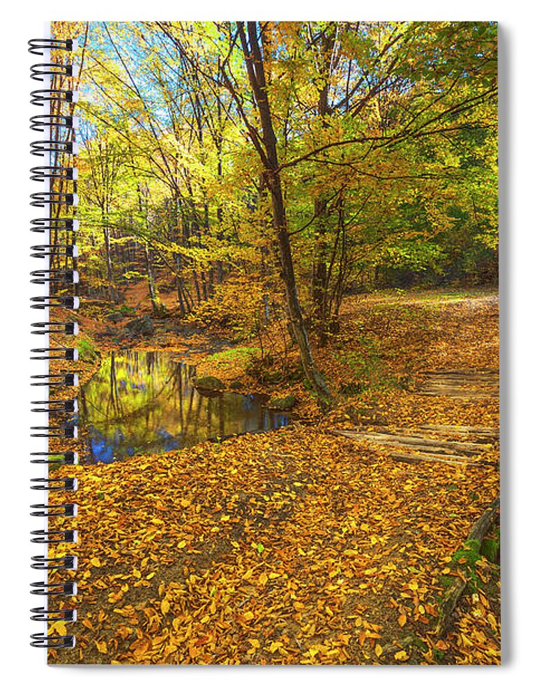 Bulgaria Spiral Notebook featuring the photograph Golden River by Evgeni Dinev