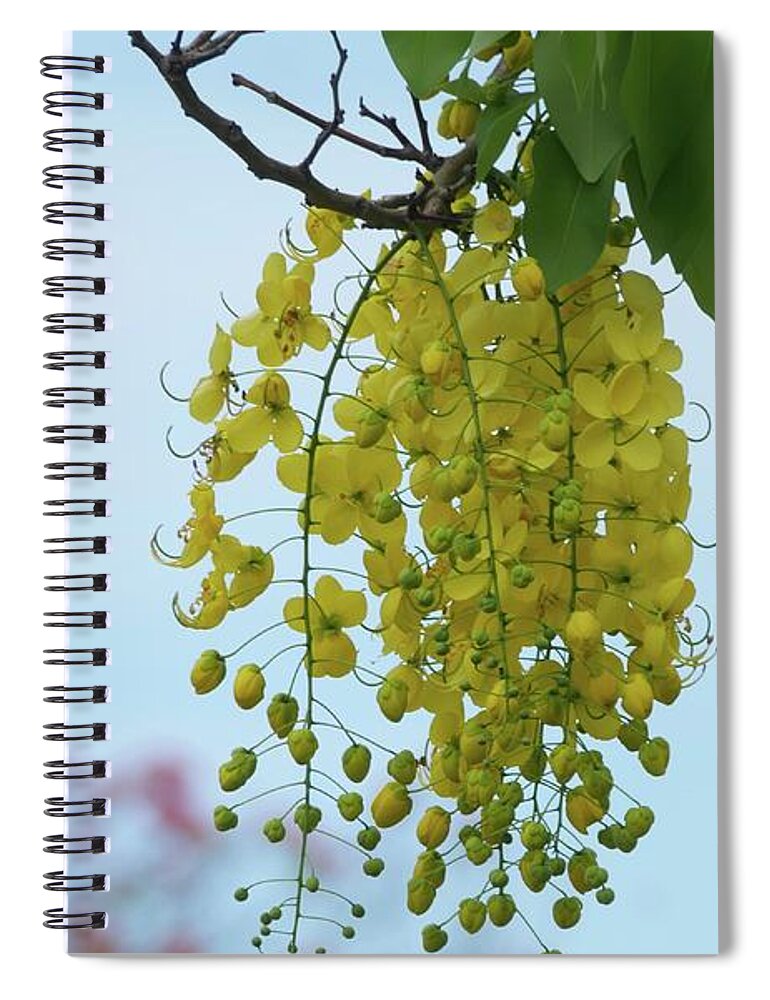 Flower Spiral Notebook featuring the photograph Golden Shower by On da Raks