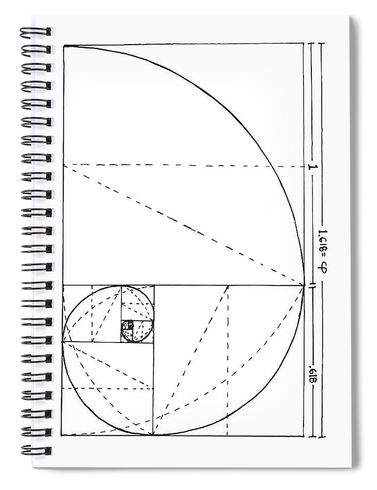 Golden Spiral Notebook featuring the drawing Golden Spiral by Trevor Grassi