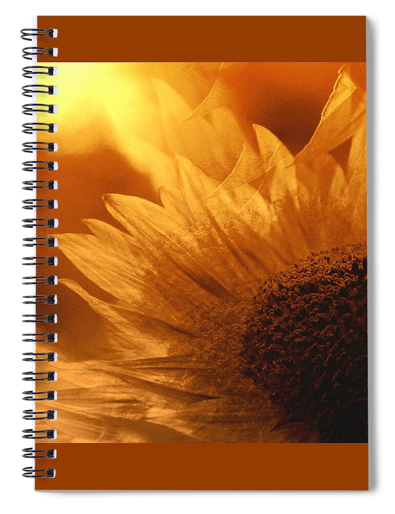 Sunflower Spiral Notebook featuring the photograph Golden Sunflower Dreams by Sea Change Vibes