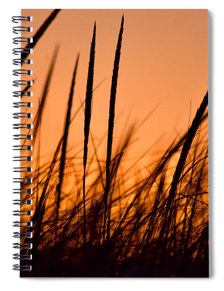 Grass Spiral Notebook featuring the photograph Golden Sunset Beach Grass by Debra Banks