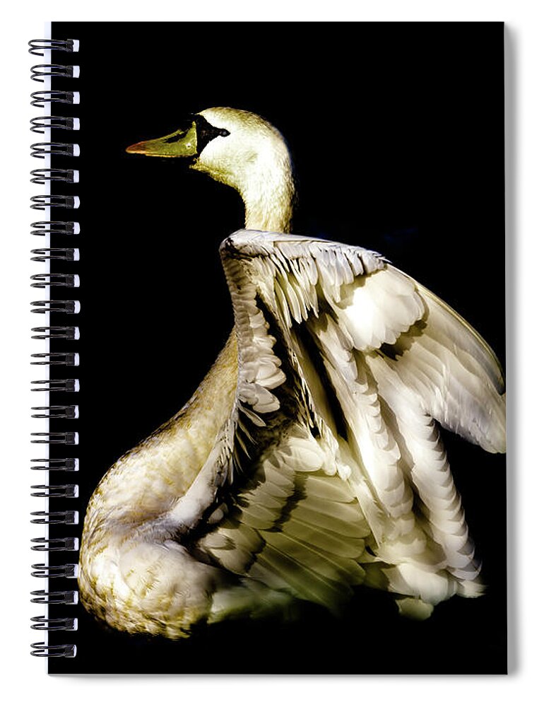 Swan Spiral Notebook featuring the photograph Golden Swan by MPhotographer