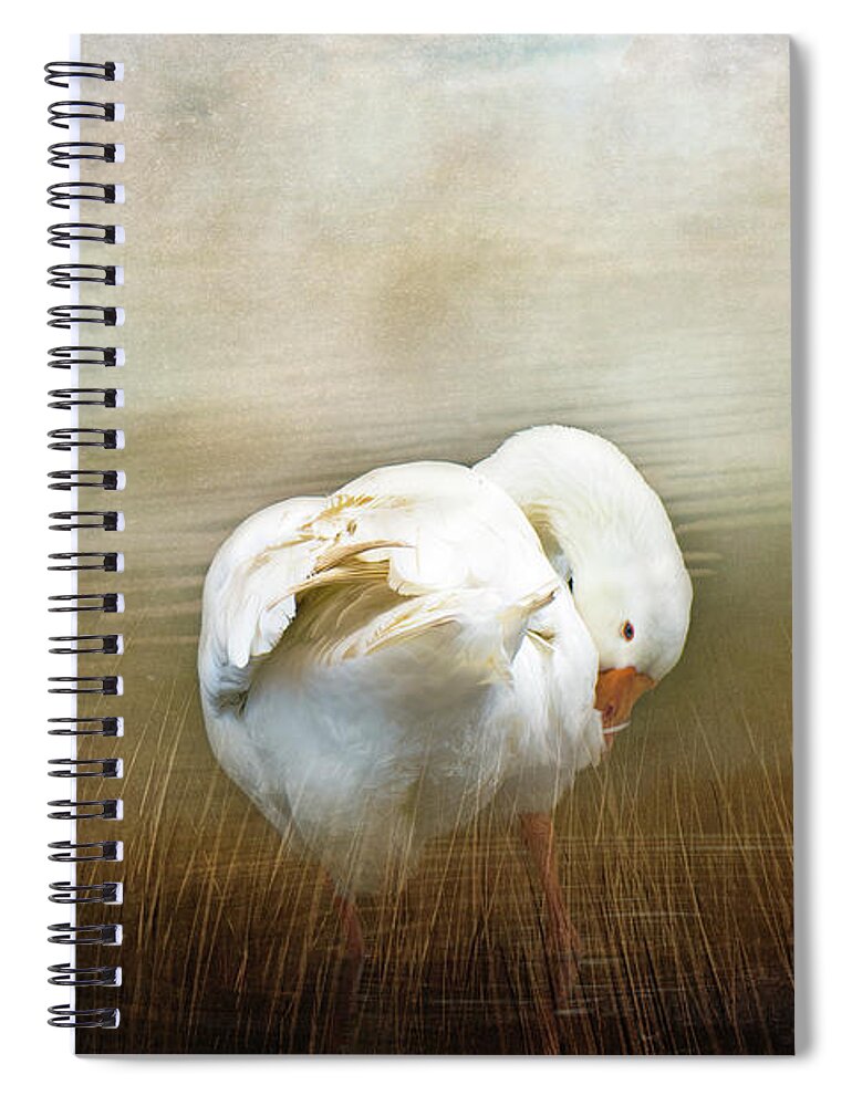 Goose Spiral Notebook featuring the photograph Goose with an Itch by Elaine Teague
