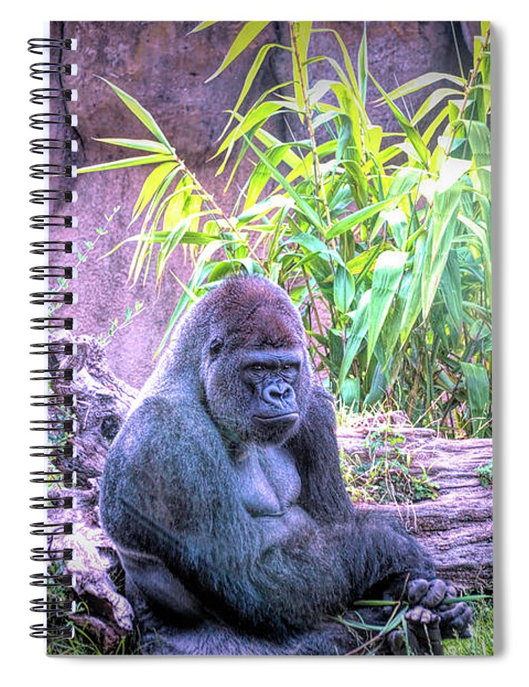 Gorilla Spiral Notebook featuring the digital art Gorilla by Barbara Snyder