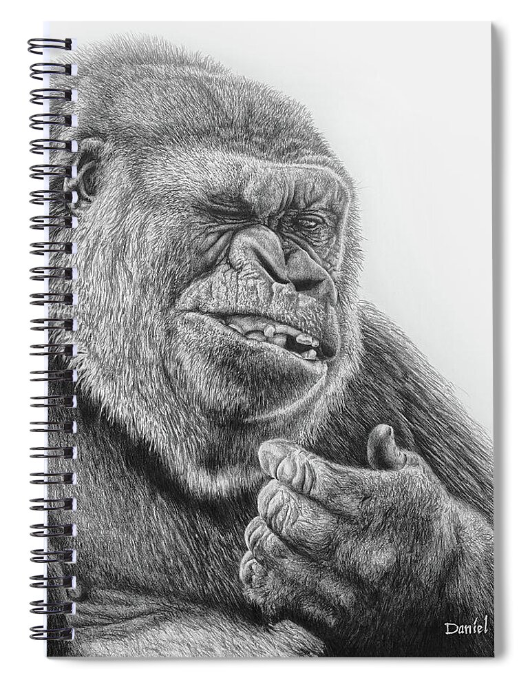 Gorilla Spiral Notebook featuring the drawing Gorilla by Daniel Adams