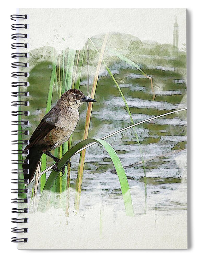 Grackle Spiral Notebook featuring the digital art Grackle by the Lake by Alison Frank