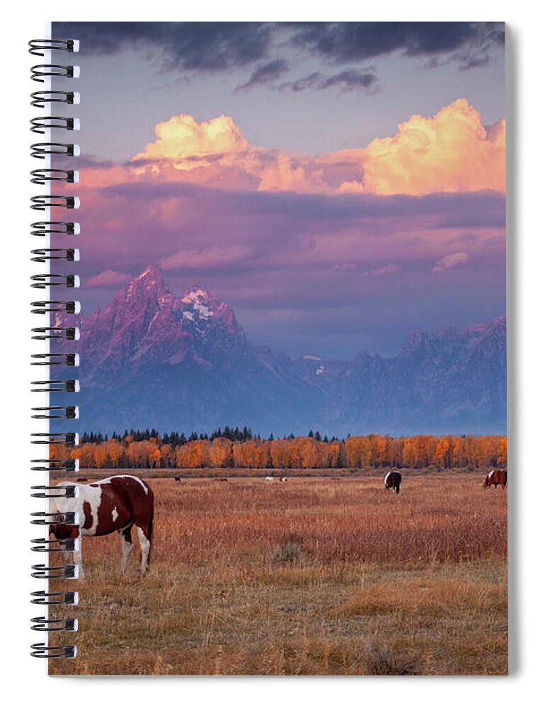 Grand Tetons Spiral Notebook featuring the photograph Grand Teton Pasture by Wesley Aston