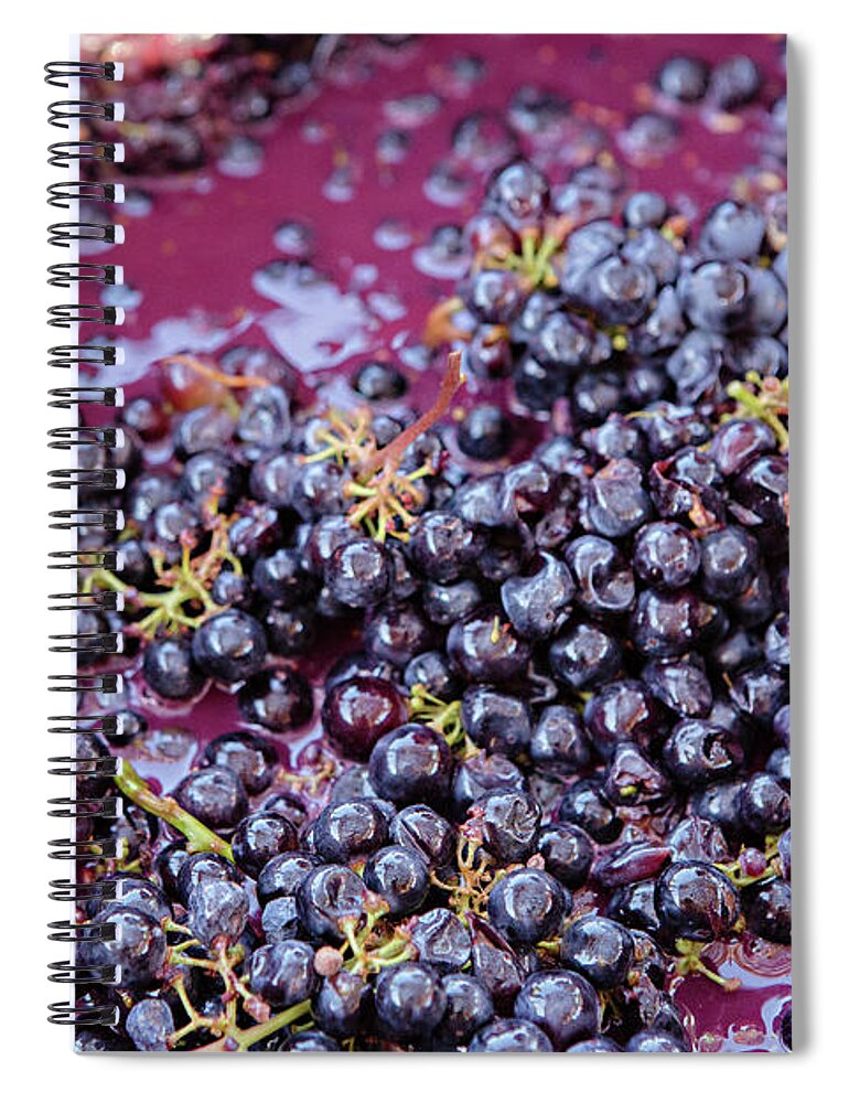 Grape Spiral Notebook featuring the photograph Grape Stomp in Wine Country by Carolyn Ann Ryan