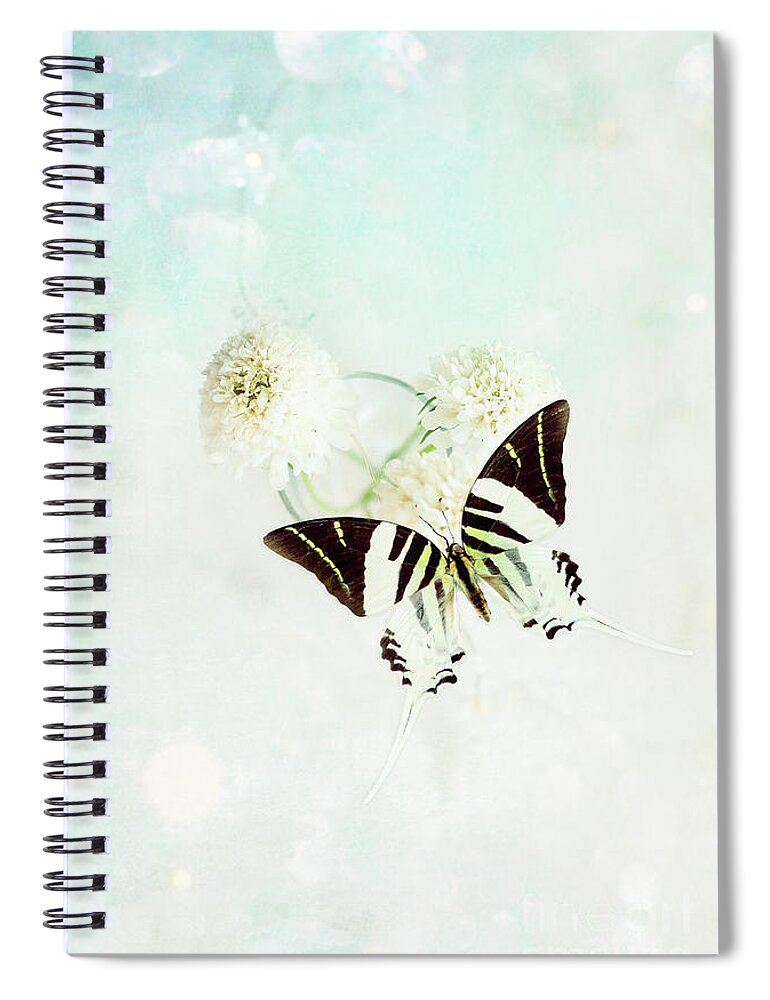 White Spiral Notebook featuring the photograph Graphium Androcles Swordtail Swallowtail Butterfly over Blue by Stephanie Frey