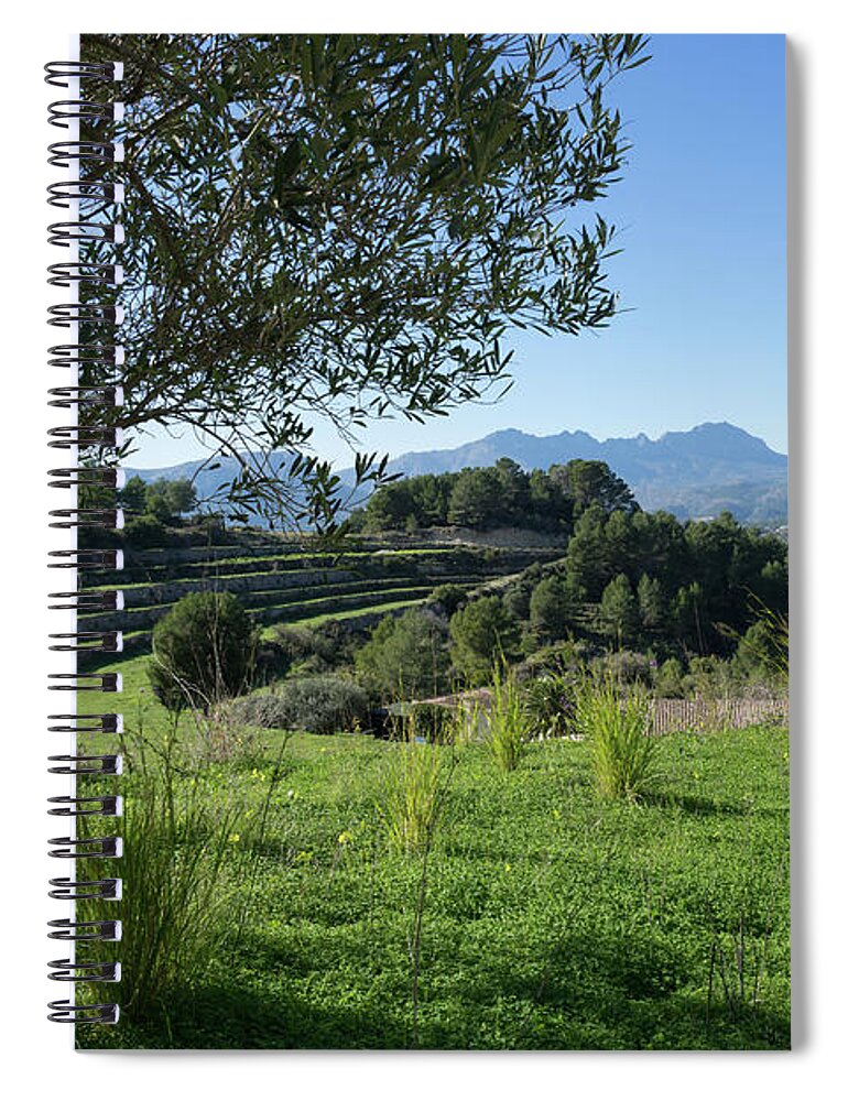 Landscape Spiral Notebook featuring the photograph Grass and clover under the olive tree by Adriana Mueller