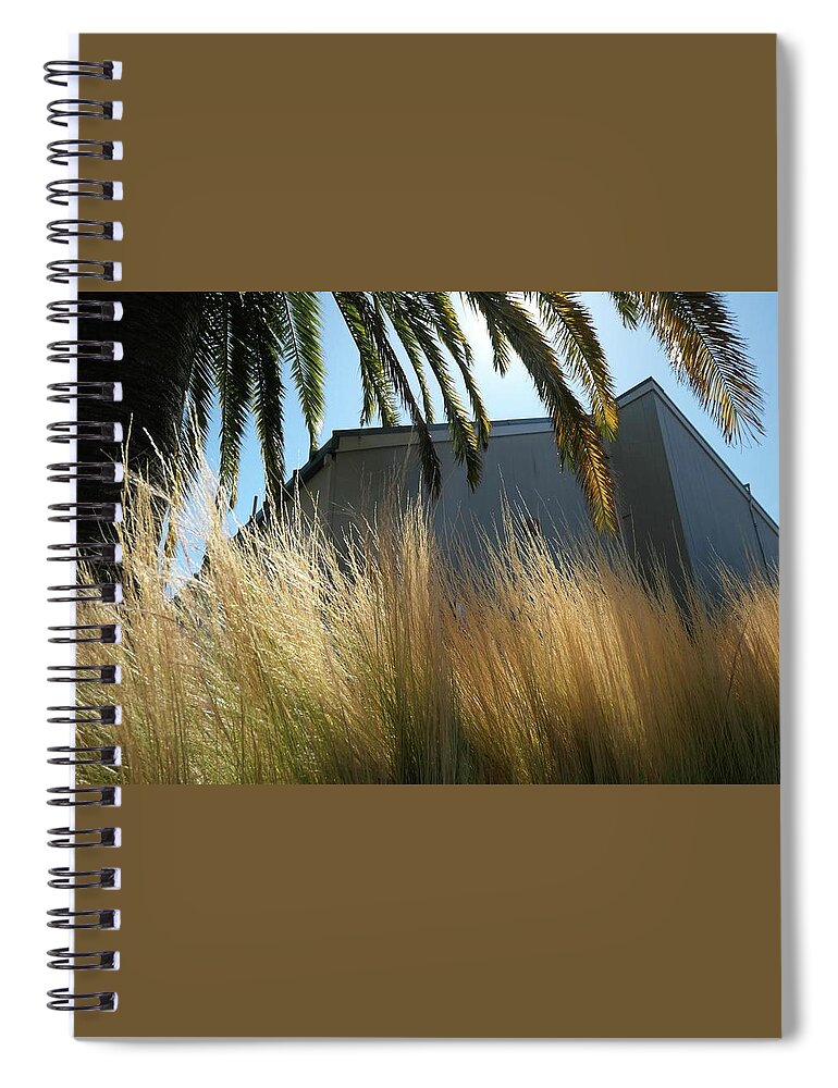 Palm Tree And Grass And Building Spiral Notebook featuring the photograph Grass and Palm by John Parulis