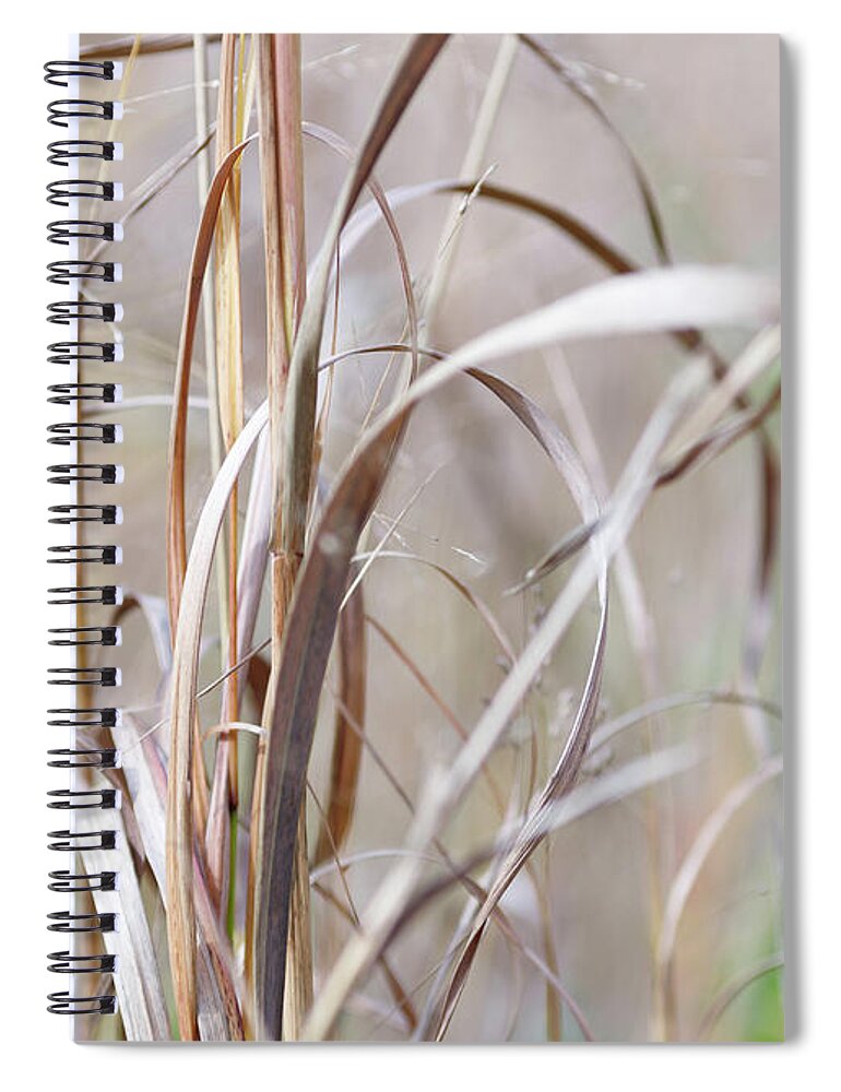 Grass Spiral Notebook featuring the photograph Grass Field by Amelia Pearn