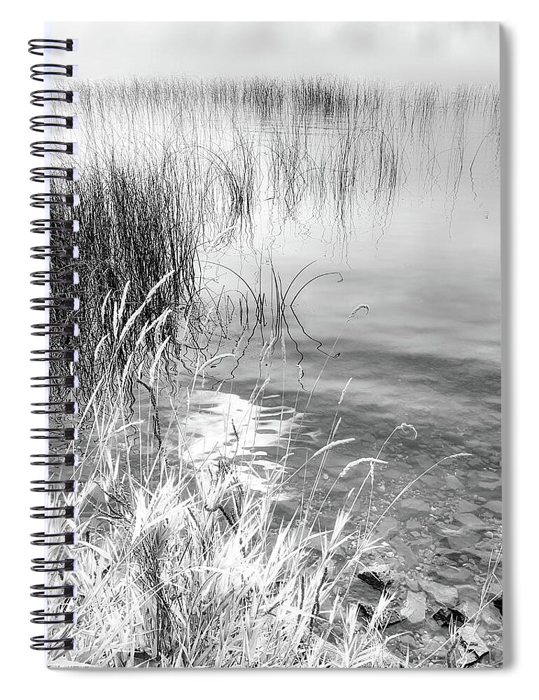Black And White Photography Spiral Notebook featuring the photograph Grasses and Reeds Black and White by Allan Van Gasbeck