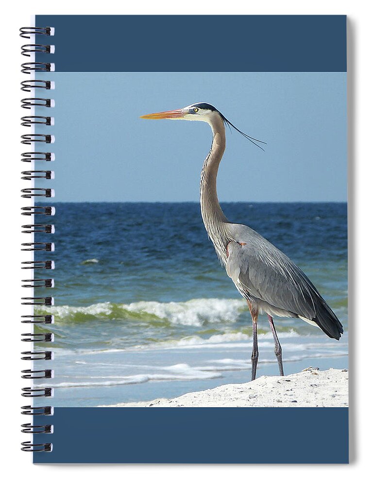  Spiral Notebook featuring the photograph Great Blue Heron #1 by Carla Brennan