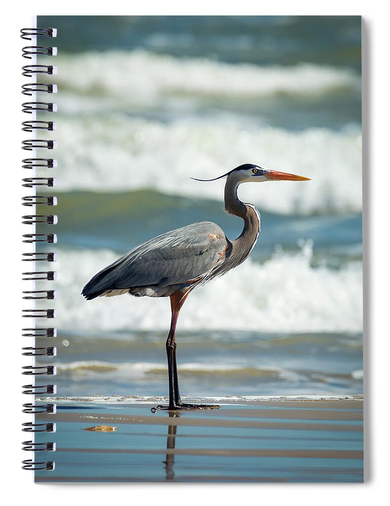 Bird Spiral Notebook featuring the photograph Great Blue Heron Profile by Patti Deters