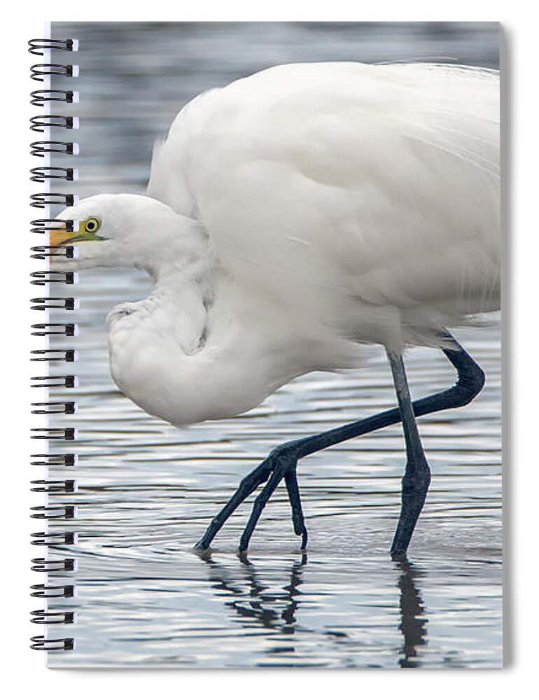 Great Egret Spiral Notebook featuring the photograph Great Egret 8432-012521-2 by Tam Ryan