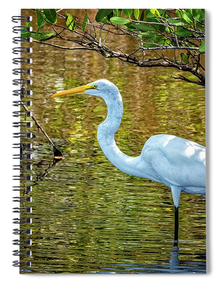 Yard Animals Spiral Notebook featuring the photograph Great Egret by Tom Singleton