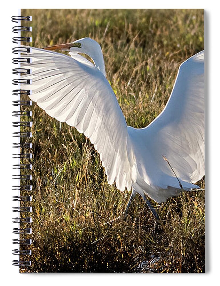 Great Egrets Spiral Notebook featuring the photograph Great Egrets 2372-111221 by Tam Ryan