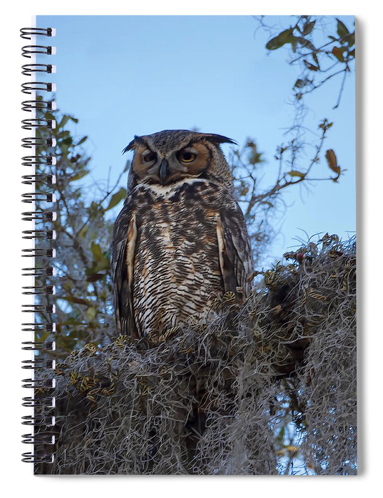 Owl Spiral Notebook featuring the photograph Great Horned Owl 2 by L Bosco