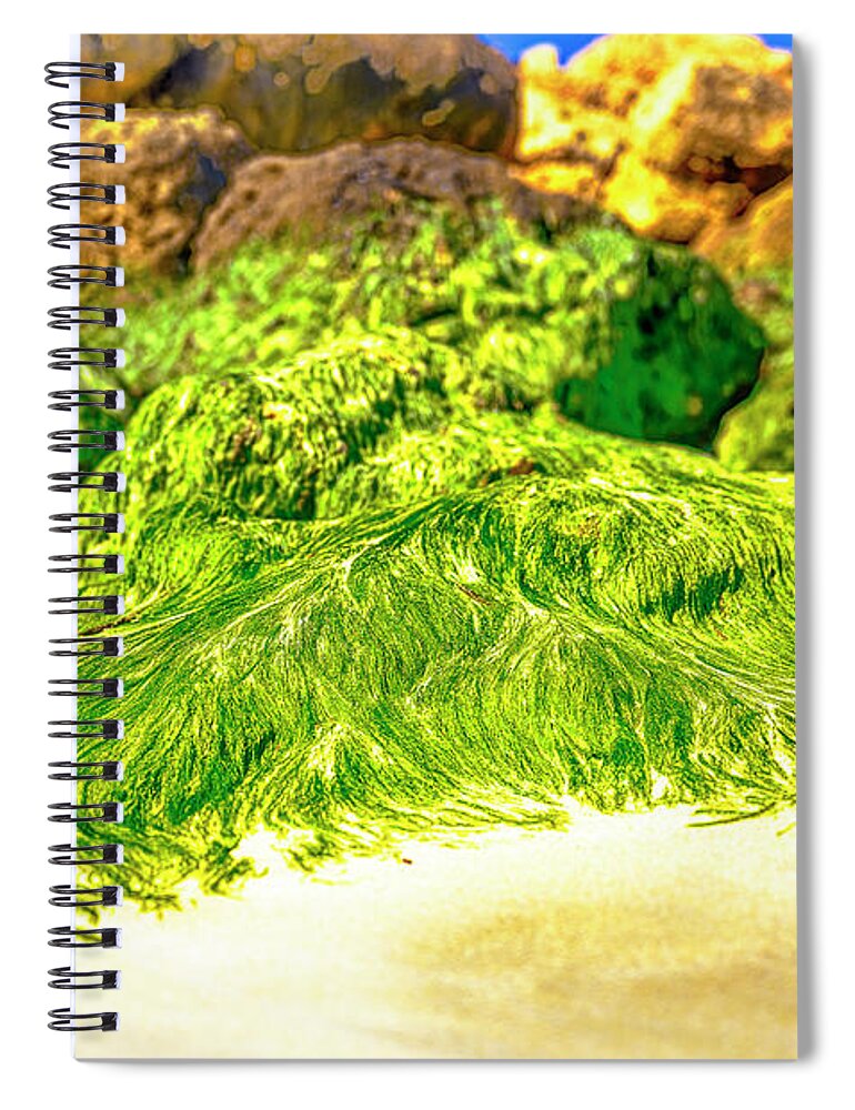 Australia Spiral Notebook featuring the photograph Green Beard by Jay Heifetz