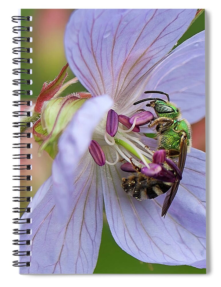 Green Bee Spiral Notebook featuring the photograph Green bee by Tatiana Travelways