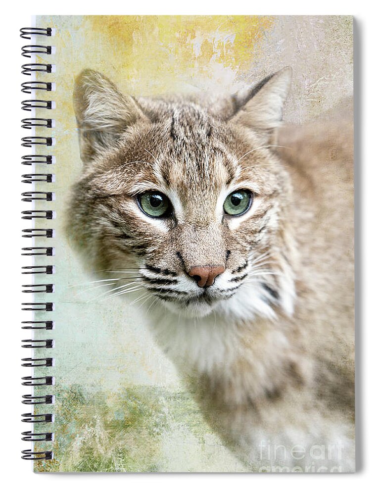 Red Wolf Sanctuary Spiral Notebook featuring the photograph Green Eyed Bobcat by Ed Taylor